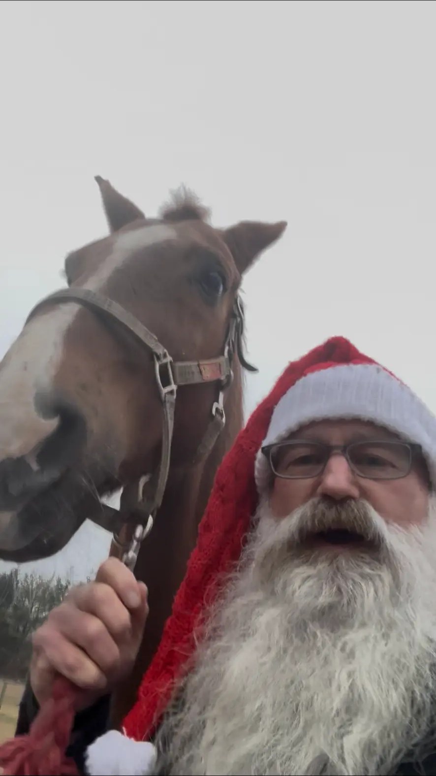 Santa outdoors on the farm with a friendly chestnut horse