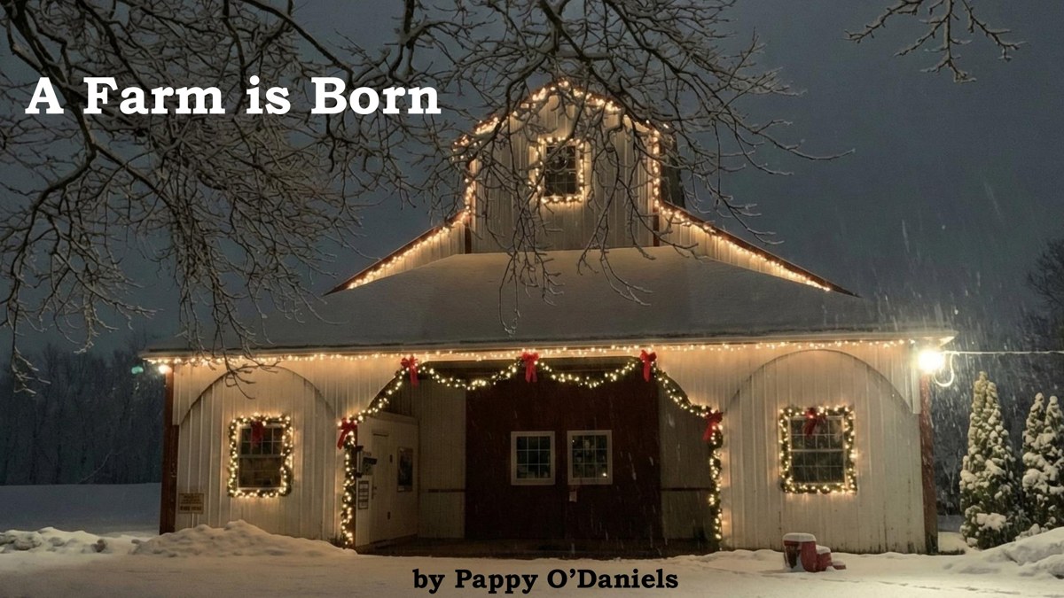 Cover of the Christmas storybook A Farm is Born by Pappy O'Daniels, showing a barn lit with Christmas lights in the snow